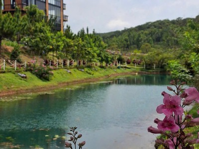 Bán đất tại Quốc Lộ 20, 900 triệu, 150m2, hàng hiếm tại Bảo Lộc, Lâm Đồng 0