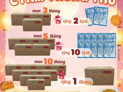 Gói hút oxy OXYTOC Thịnh Phong 30cc, 50cc 3