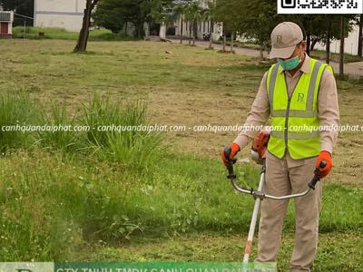 Dịch vụ chăm sóc cây xanh thảm cỏ tại KCN Nhơn Trạch Đồng Nai 0