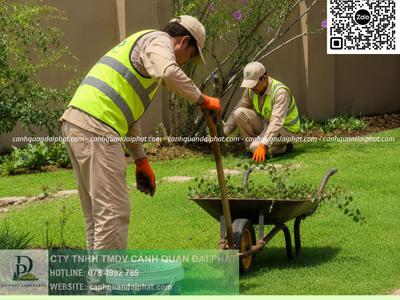 Dịch vụ chăm sóc cây xanh thảm cỏ tại KCN Nhơn Trạch Đồng Nai 2