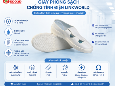 Giày Phòng Sạch Chống Tĩnh Điện LinkWorld 0