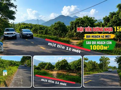 Chính chủ bán đất sát fram nông trại vui 1 05 tỷ 1155m2 giá ưu đãi qh dldv 1