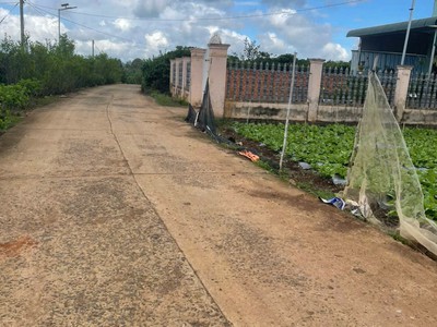 Bán đất 502m2 xã tân hội đức trọng lâm đồng giá rè nhất khu vực 1 tỷ 500 triệu 2