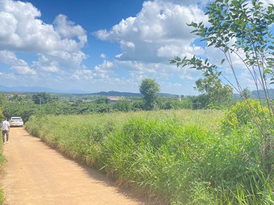 Hẻm phúc thọ, lâm hà, lâm đồng - 7.500m2 1