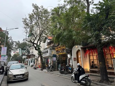 800tr/m2 Trục Bà Triệu Mặt Tiền 11M 240M2 Có GPXD 7 nổi 1 hầm 0