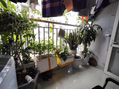 Chủ Nhà Bán Gấp Căn 72m 2pn, Giá Chỉ 2,7x Tỷ 3