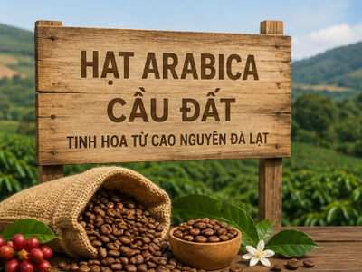 Cách pha hạt Arabica Cầu Đất để giữ trọn hương vị 0