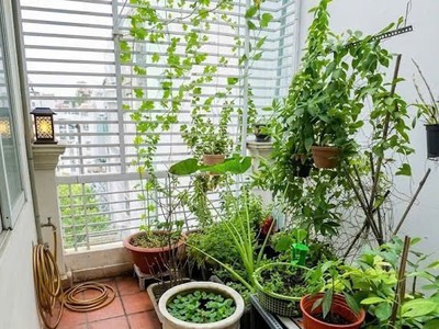 Bán nhà cách mạng tháng tám, quận 10, dt 3.8 x 13m  48 m2 , giá 7.9 tỷ 0