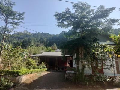 Bán lô đất 615m2 140m2 tc, có 1 nhà cấp 4 xây 60m2, có 1 nhà gỗ lợp tôn còn tốt, khoảng 100m2 1