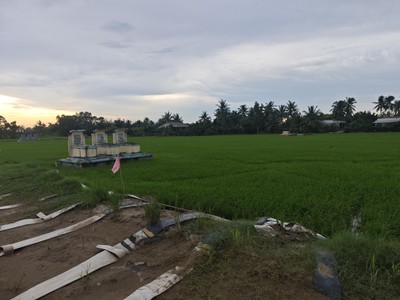 Bán lô đất lúa hai mặt tiền quốc lộ 50b giá 12 tỷ 2