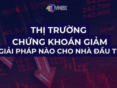 Thị trường chứng khoán giảm   Giải pháp nào cho nhà đầu tư 0