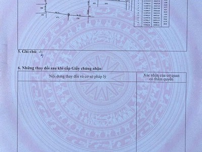 Siêu phẩm đất khu dân cư trung an, củ chi quy mô khủng hiếm có 1