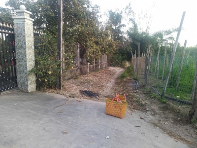 Chính chủ bán đất hàm tân - giáp la gi   bình thuận , 4.800m  - giá chỉ 980 triệu 0