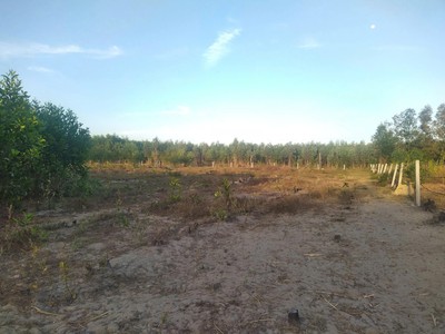 Chính chủ bán đất hàm tân - giáp la gi   bình thuận , 4.800m  - giá chỉ 980 triệu 1