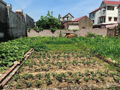 Bán đất lô đất siêu đẹp tại thôn yên ninh, nội bài, hà nội, dt 65,6m2, giá 1,64 tỷ 4