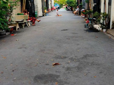 Nhà xưởng 9.8x16.5 hẻm 7m tân chánh hiệp 16, quận 12 full thổ cư khu nhà lầu đẹp 2