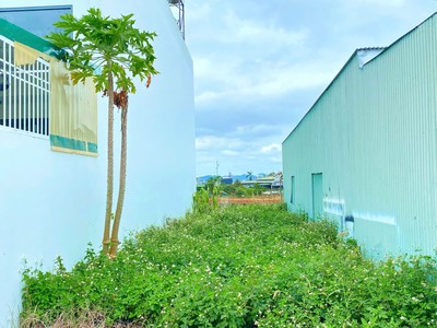Đất phân lô trung tâm đức trọng - sau làng bà cọ, chỉ nhỉnh tỷ 3