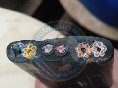 Cáp Điện Dẹt 24C 0.75 02 Chống Nhiễu 0