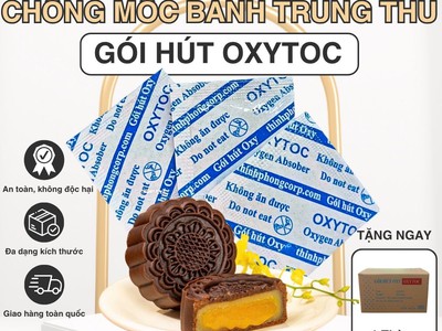 Gói chống mốc OXYTOC nhỏ, chống mốc bánh trung thu lớn 1