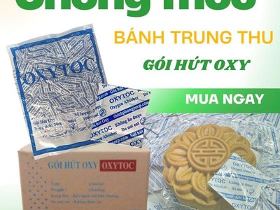 Gói chống mốc OXYTOC nhỏ, chống mốc bánh trung thu lớn 2