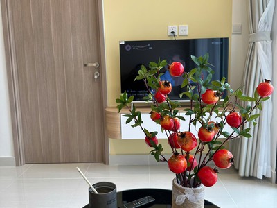 Bán căn hộ 2PN, 2WC, 59m2 tại Vinhomes Grand Park, giá 3,32 tỷ VND 2