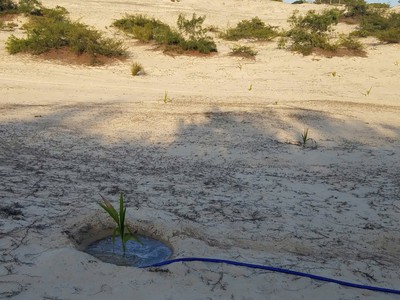 Chính chủ bán đất gần biển vạn thọ   vạn ninh - 5.000m2, giá chỉ 1 tỷ 3