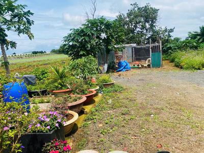 Rẻ nhất thị trường có 1 ko 2-giảm cực sâu 900 triệu - bán gấp lô đất 369m ngay tt hành chính đức 1