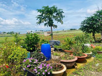 Rẻ nhất thị trường có 1 ko 2-giảm cực sâu 900 triệu - bán gấp lô đất 369m ngay tt hành chính đức 4