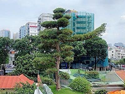 Độc tôn bán biệt thự đ. tú xương, quận 3 - 9m 12m - hàng xóm sát nhà đều là các cán bộ nhà nước cấp 1