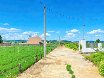Đất kỹ sen 3, hẻm DT 724 - đức trọng, lâm đồng 2