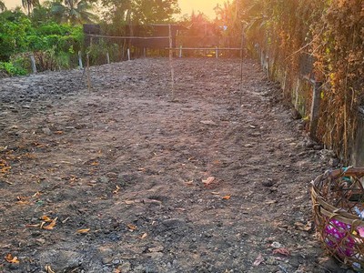 Cần bán 300m2 đất thổ cư hẻm thông xe hơi 2