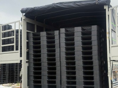  Chỉ Còn Vài Lô Cuối  Thanh Lý Pallet Nhựa Giá Rẻ Nhất Bình Dương   Giao Tận Nơi   1