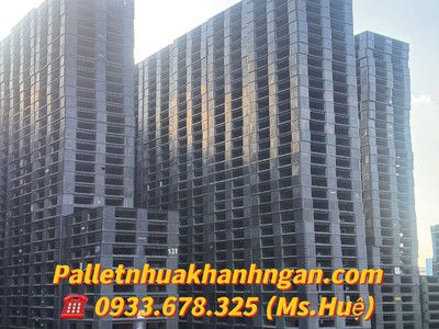  Chỉ Còn Vài Lô Cuối  Thanh Lý Pallet Nhựa Giá Rẻ Nhất Bình Dương   Giao Tận Nơi   5
