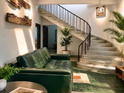 D2743 villa sân vườn hxh lý thường kiệt gò vấp giá 10.x tỷ 3