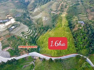 Chính chủ bán hơn 1,6ha đất duy nhất ngay mt quốc lộ 4d-ngay cầu 31 1