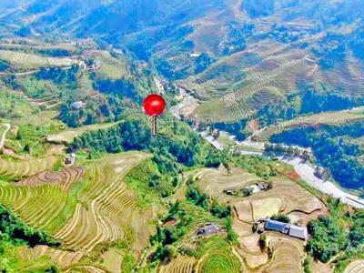 Chính chủ bán hơn 1,6ha đất duy nhất ngay mt quốc lộ 4d-ngay cầu 31 2