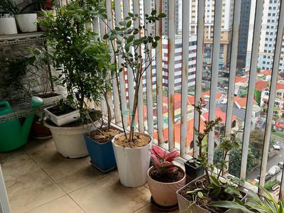 Bán căn hộ chung cư thông tấn xã việt nam phường định công, hoàng mai 0