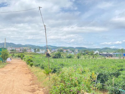 Đất phú hội cũ, đức trọng, lâm đồng, gần gara oto lương thành quốc 1