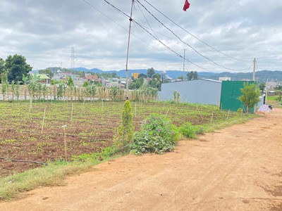 Đất phú hội cũ, đức trọng, lâm đồng, gần gara oto lương thành quốc 2