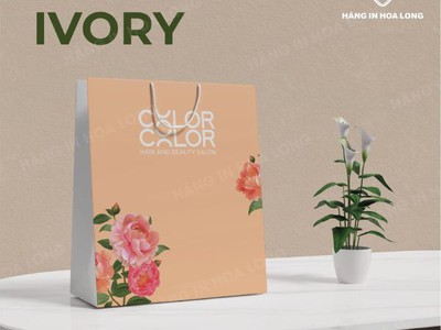 In túi giấy cho thời trang đẳng cấp 4