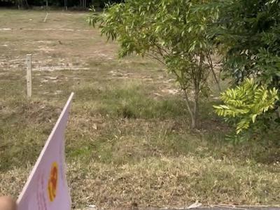 Đất Tân Châu, Tây Ninh   mặt tiền lớn, giá mềm cho nhà đầu tư 0