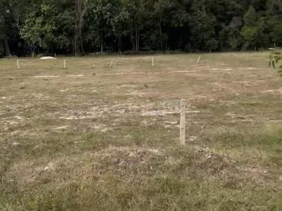 Đất Tân Châu, Tây Ninh   mặt tiền lớn, giá mềm cho nhà đầu tư 4