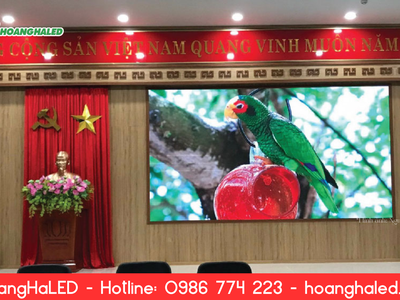 5 Lợi Ích Khi Lắp Màn Hình LED Cho Nhà Văn Hóa 1