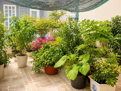 Tây thạnh hxh thông nhà đẹp 3 tầng 60m chỉ 6.x tỷ 4
