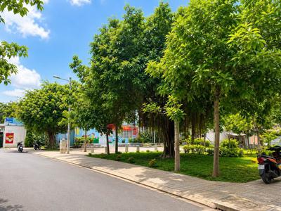 Gò dầu - lô góc view công viên - đường 8m thông - 74m 4 tầng - không lộ giới chỉ 11 tl 3