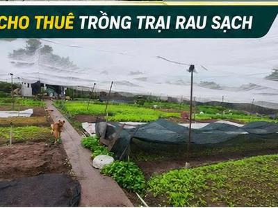 Đất rộng 1.562m chỉ 300m ra chợ hóc môn 300m thổ cư giá chỉ 25,6 tỷ 4