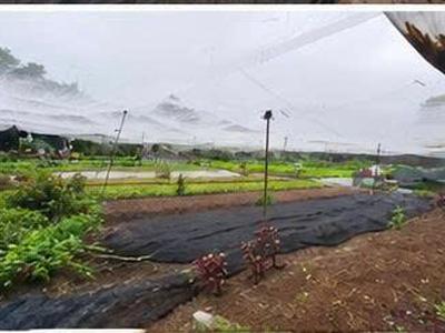 Đất rộng 1.562m chỉ 300m ra chợ hóc môn 300m thổ cư giá chỉ 25,6 tỷ 2