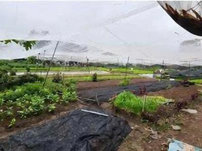 Đất rộng 1.562m chỉ 300m ra chợ hóc môn 300m thổ cư giá chỉ 25,6 tỷ 3