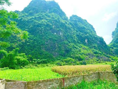 Siêu phẩm đất lương sơn hòa bình chỉ 5 triệu/m - vị trí: lương sơn, hòa bình 1