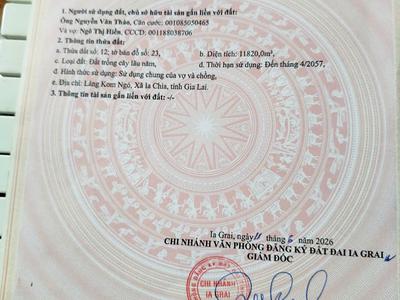 Bán 1,5 ha cà phê đẹp tặng kèm nhà giá chỉ 2,3 tỷ 1